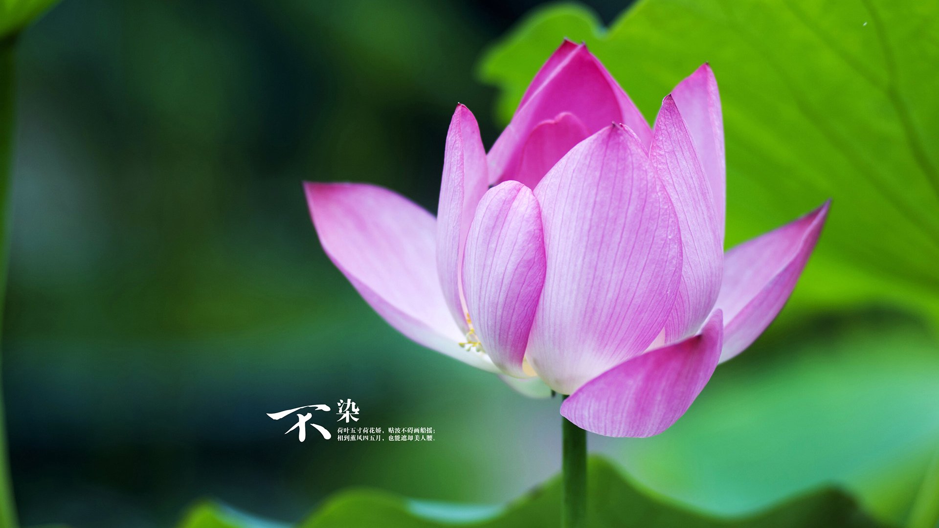 Cole Palmer成为决赛最佳球员,总决赛per排行