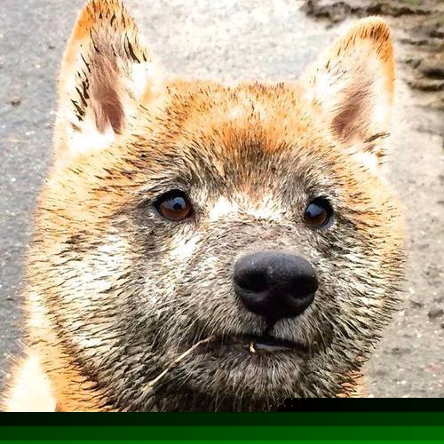 全国青少年体能大比武推广专项训练计划,全国青少年体育比赛有哪些