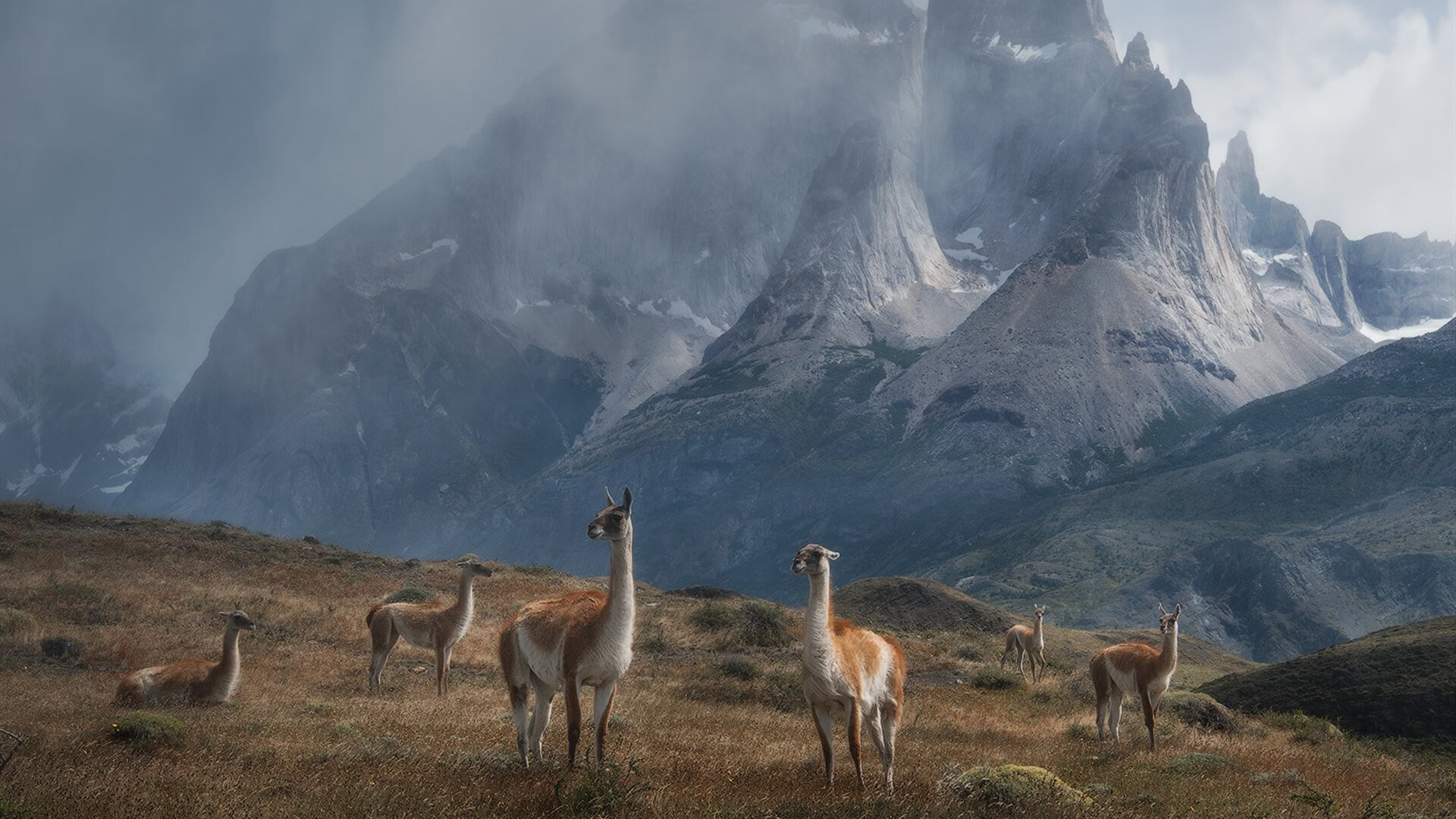 爱游戏平台-国家队缺少持续技战术创新动力