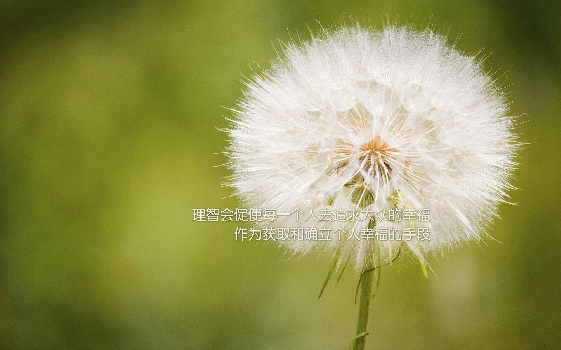 爱游戏娱乐-联赛末段积分焦灼是否更考验教练战术适应能力，联赛积分赛阵容