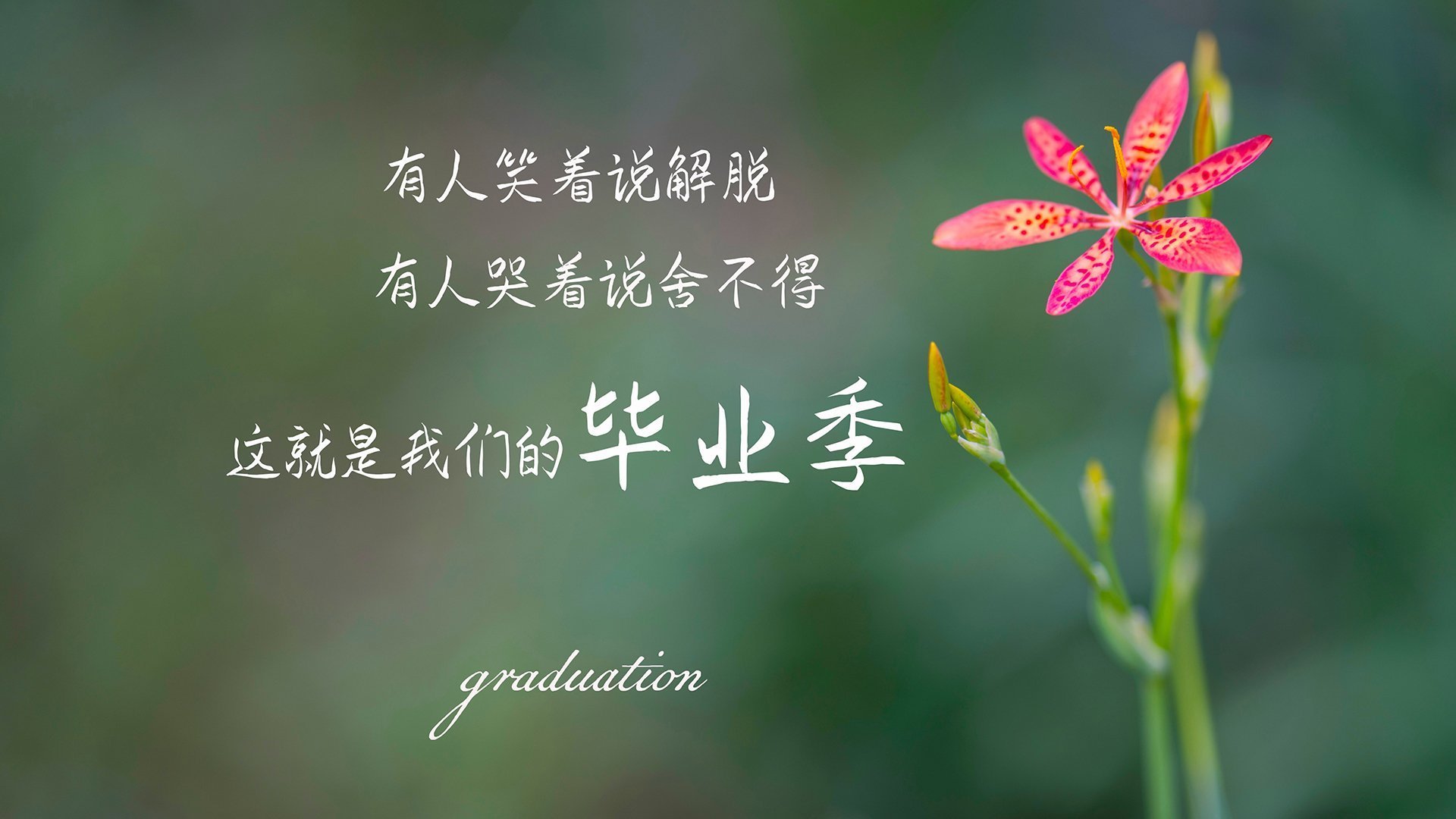 麦基翁蝉联仰泳三项冠军,麦基翁拿了几块金牌