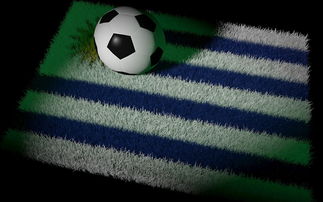 AIYOUXI.COM-中国足球国家队备战世界杯预选赛全面展开，中国足球队 世界杯预选赛