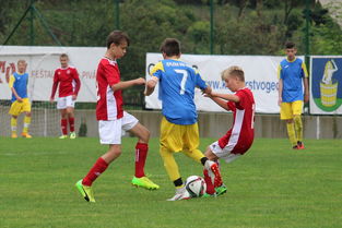 爱游戏-塞尔维亚实力不断提升，期待在国际大赛中突破