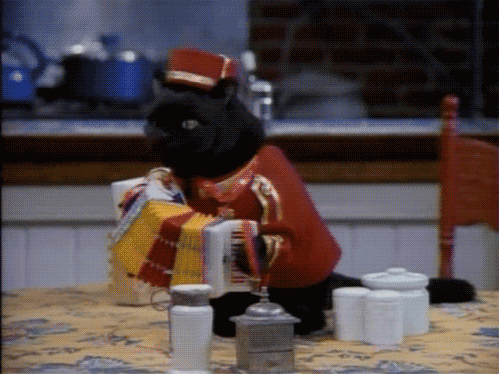 尼日利亚女篮在非洲锦标赛中连续夺冠,全面崛起!,尼日利亚女篮怎么样