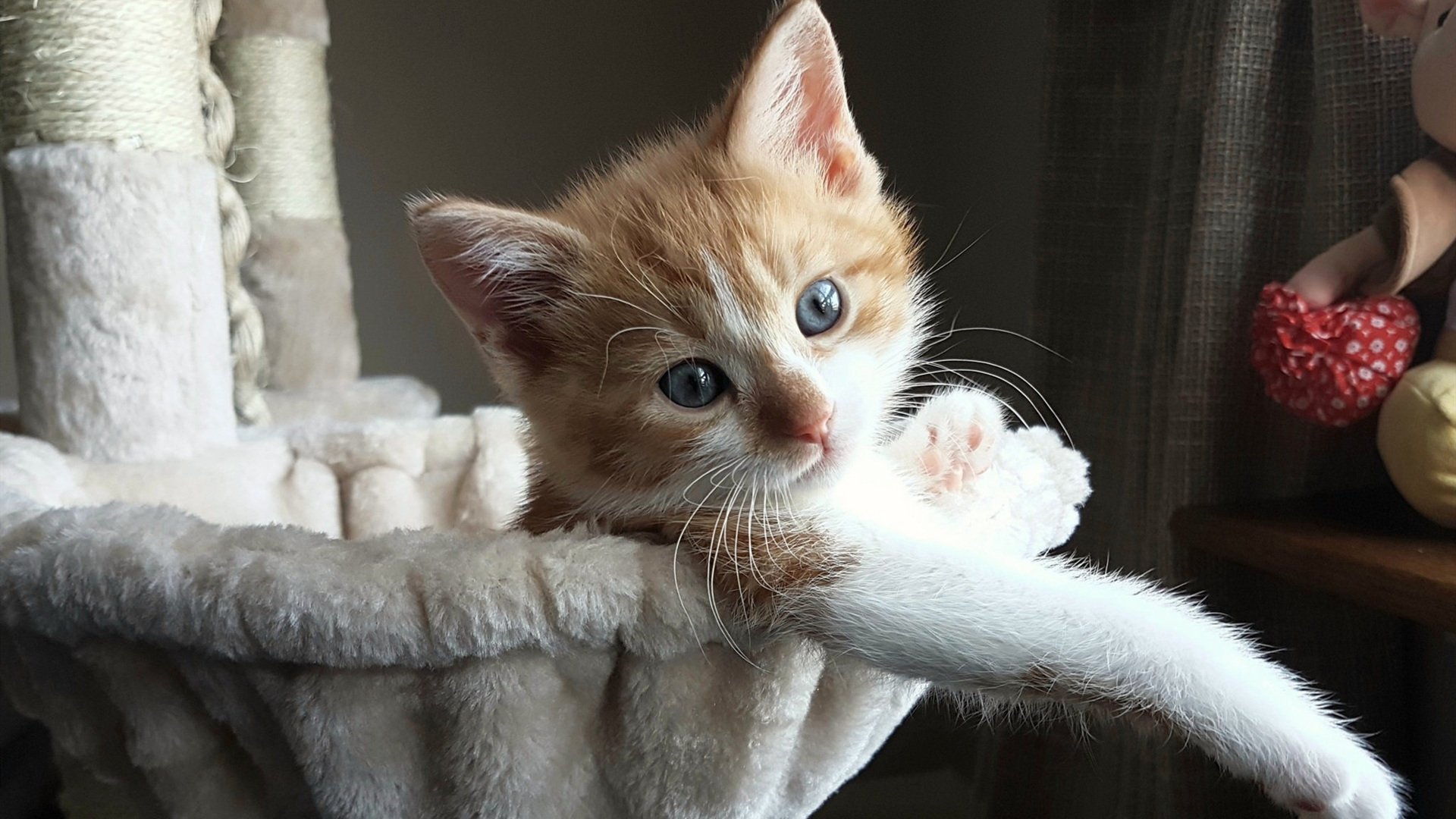 德甲天王对决:速度与战术的双重盛宴,德甲打法