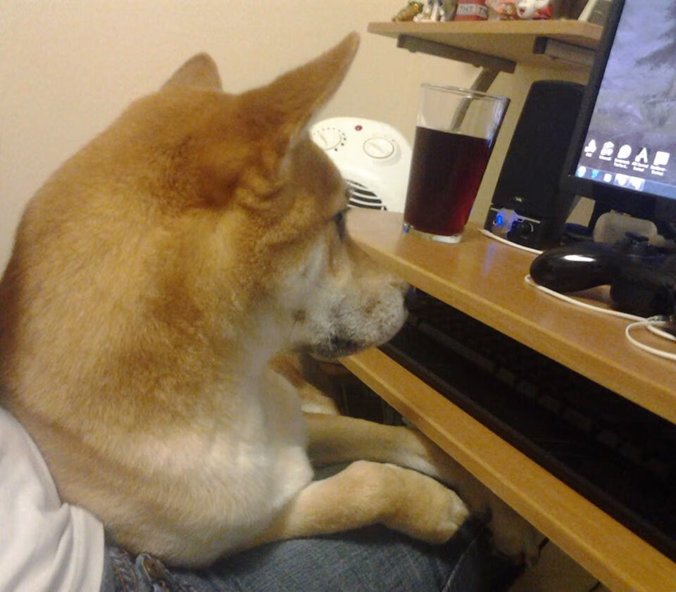 德甲激烈争锋:攻守转换中的精彩瞬间,德甲榜首大战