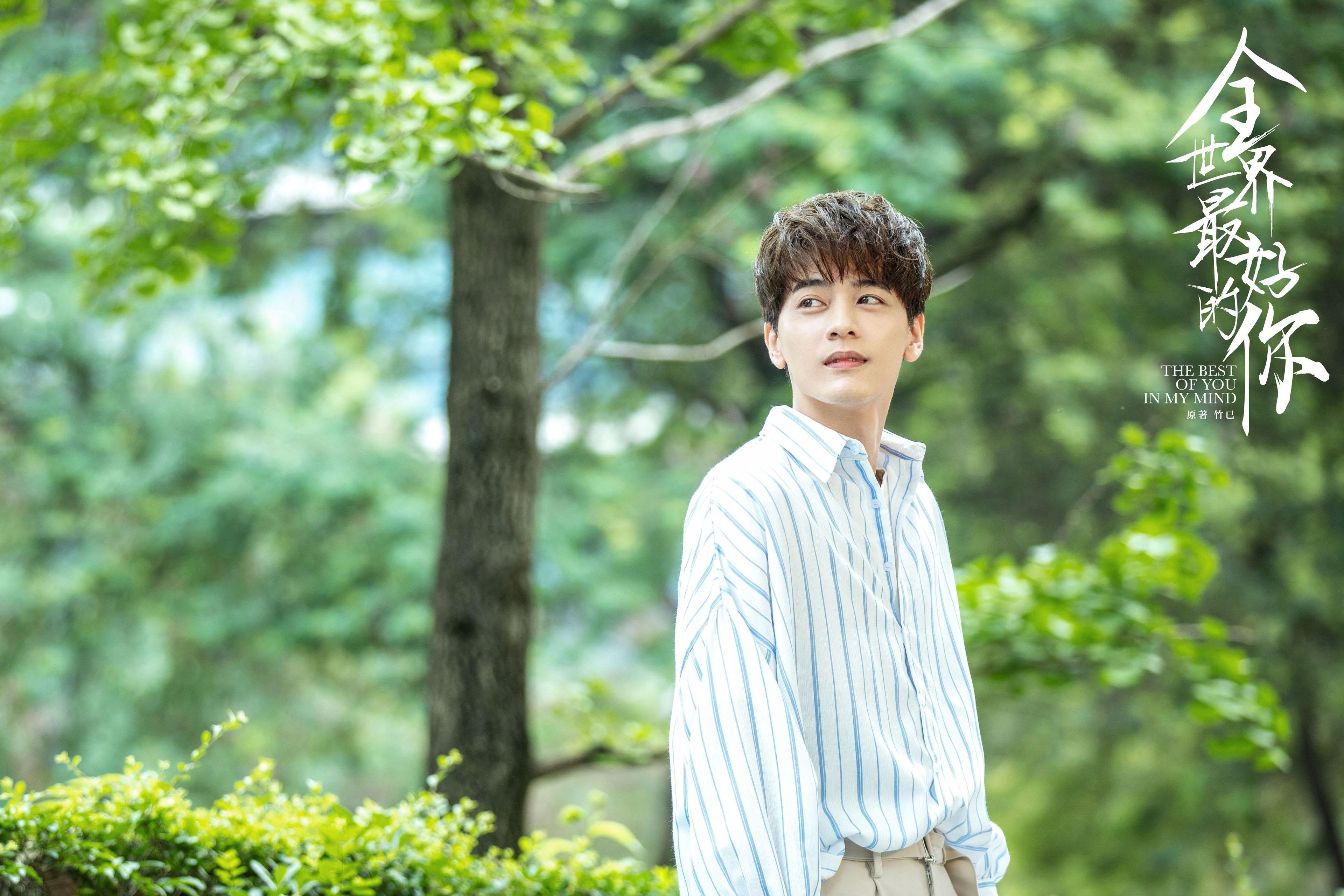 德甲速度狂飙:节奏快,精彩无限!,德甲速度排名