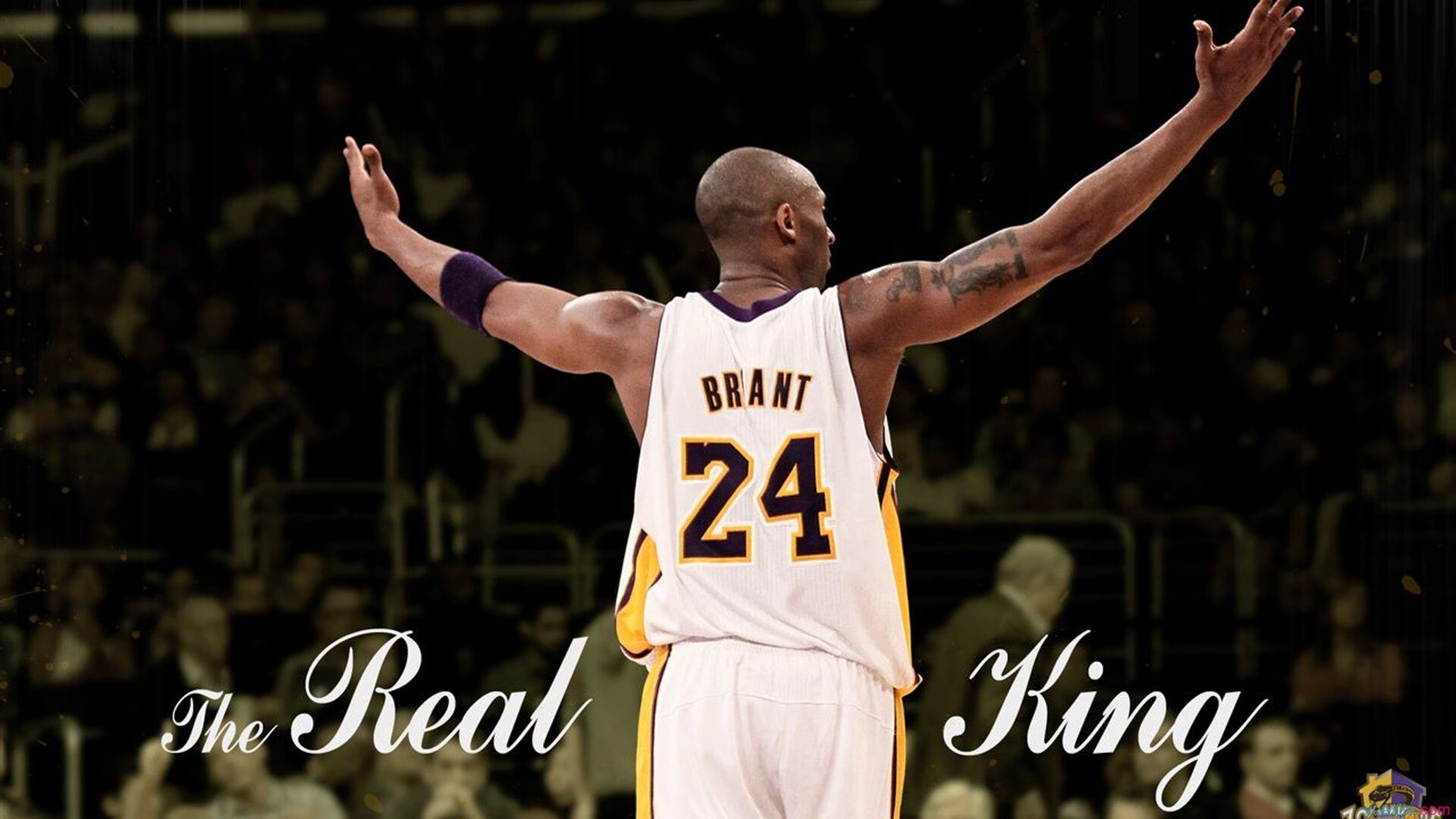 -美国大学篮球冠军赛激烈进行，韦恩大学、肯塔基队争夺冠军，美国大学篮球联赛赛制