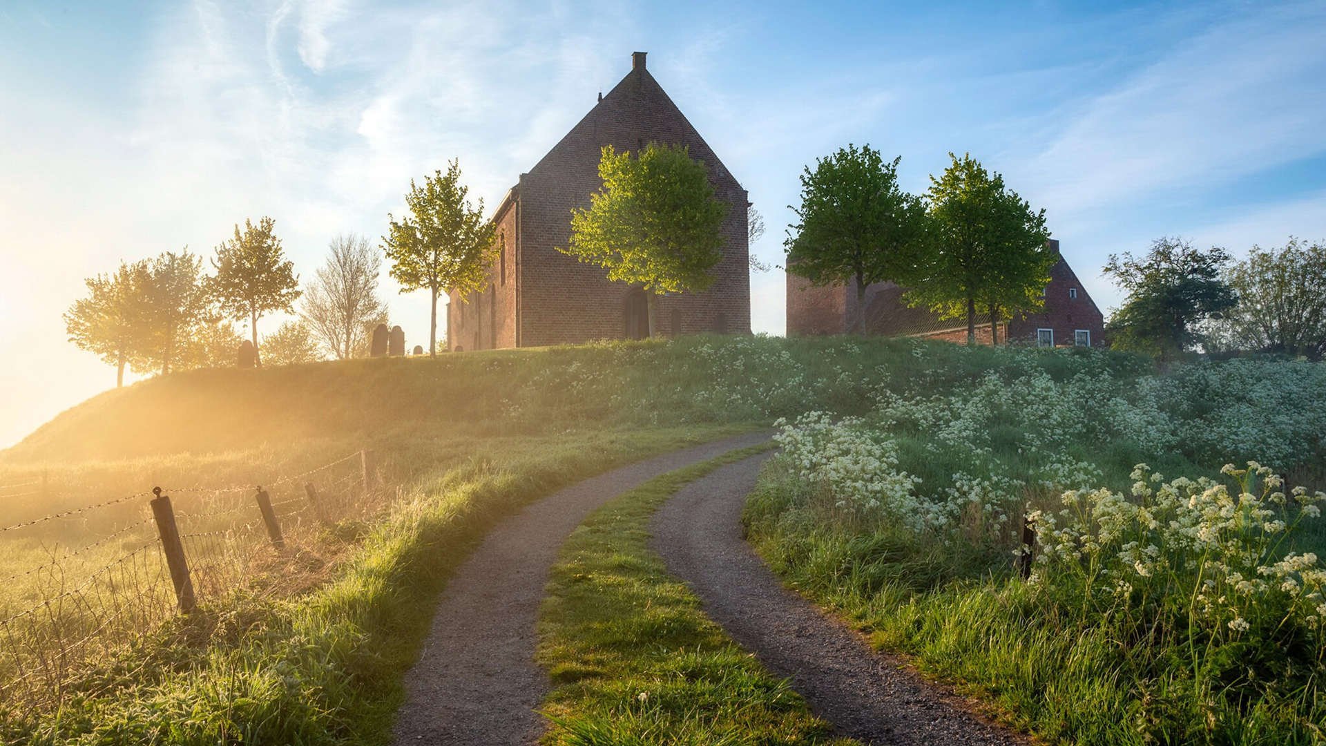 自由泳接力突尼斯团队协作顺畅,400米自由泳突尼斯